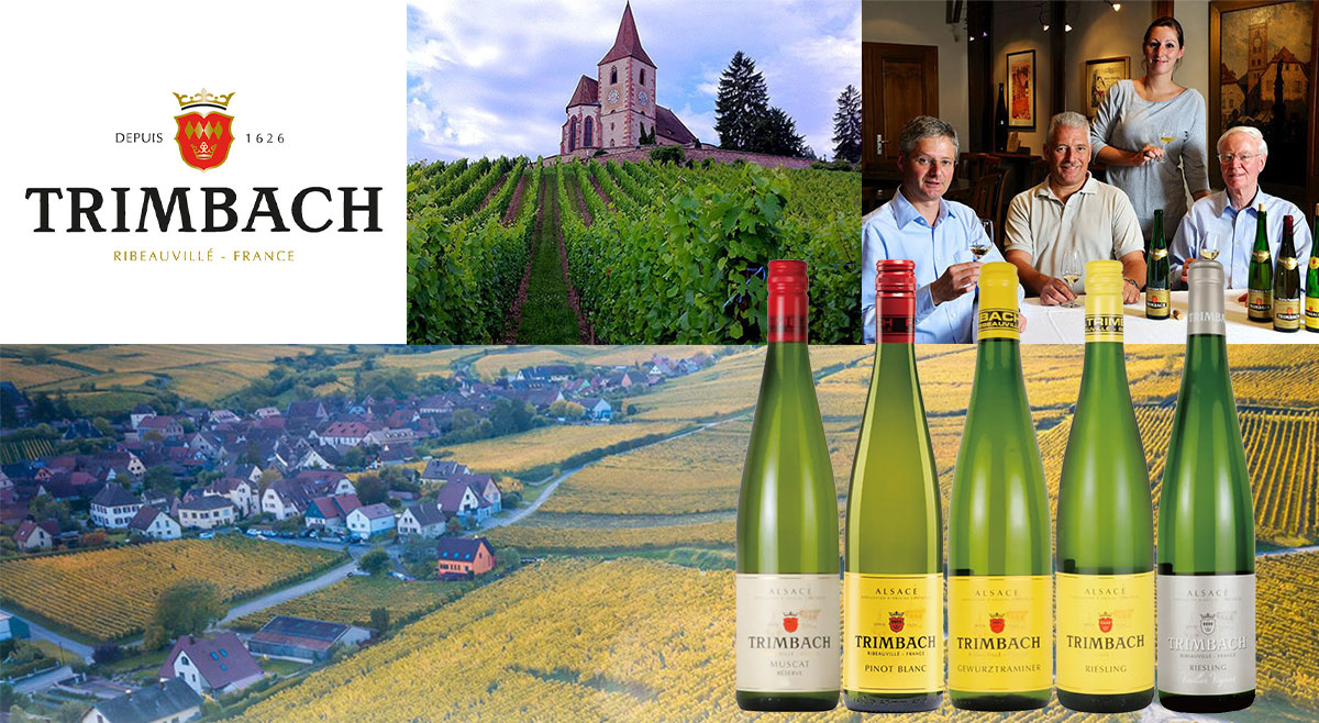 早い者勝ち 超豪華16本 自然派ワイン タカヒコ ツェッペ ダニエルサージュ アンドレアス・ツェッペ│サラマンダー（トカゲ）2016│BMOワイン