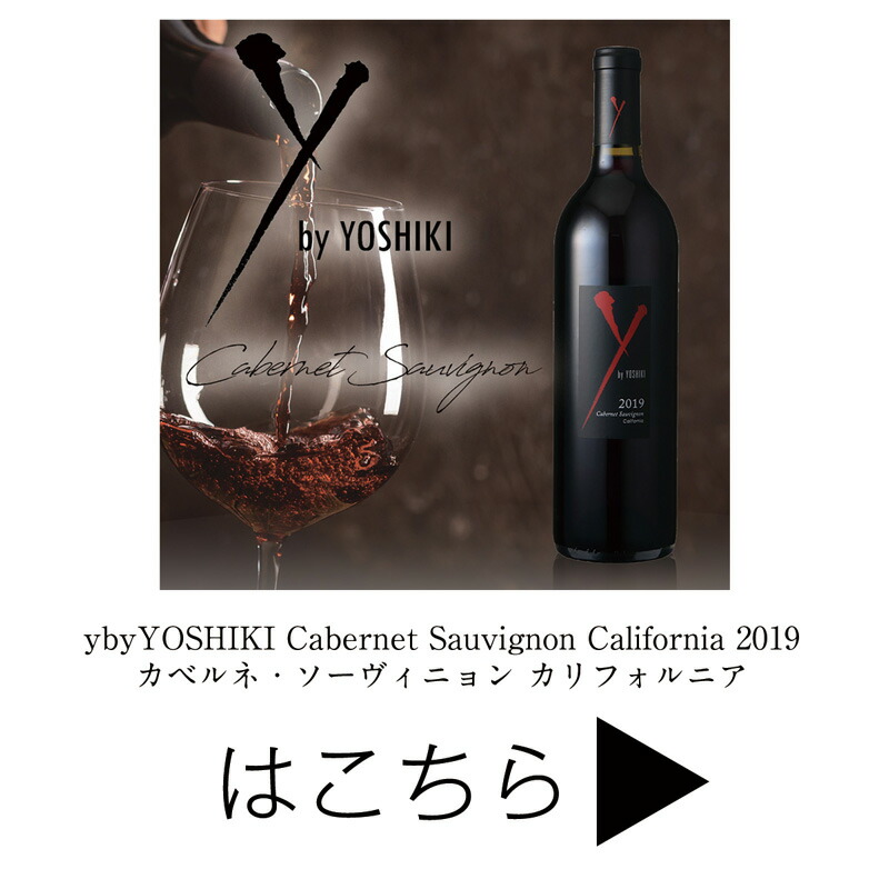 赤ワイン　シャンパン　２本セット ヨシキ × XJAPAN　バレンタインに赤ワイン