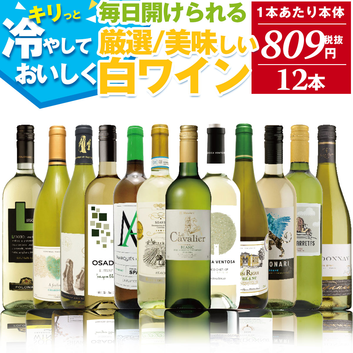 本日限定！自然派白ワイン12本 持ち運べ