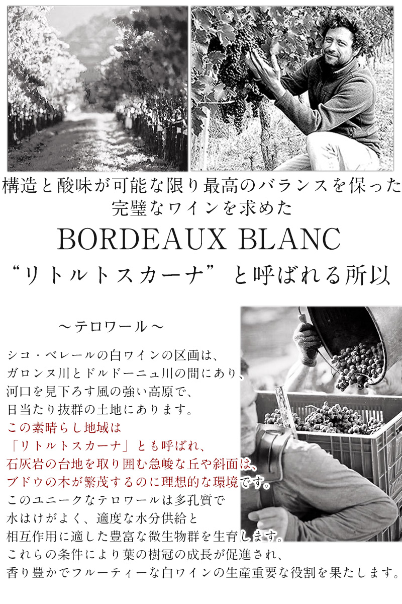 赤ワイン 白ワイン ギフトセット プレゼントや贈り物に最適なおすすめ